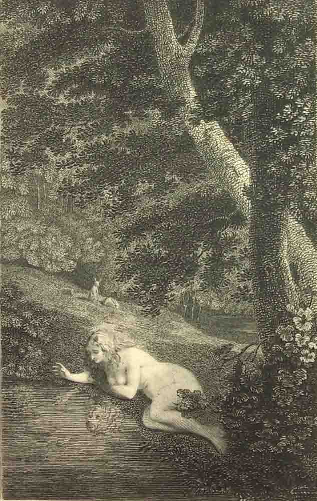 Book IV. L. 460.