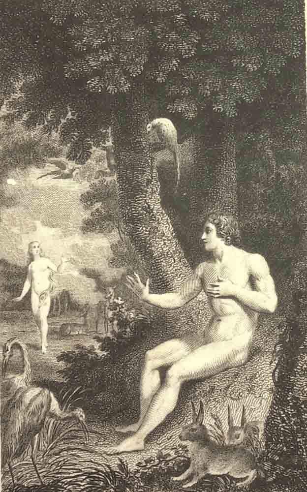 Book VIII. L. 484