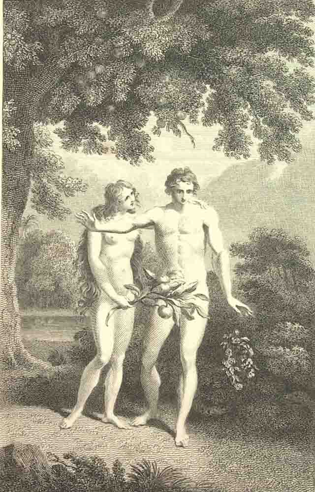 Book IX. L. 892.